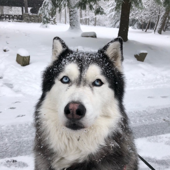 Listing Details - Picture 9 of 10